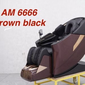 Massage Chair AM-666