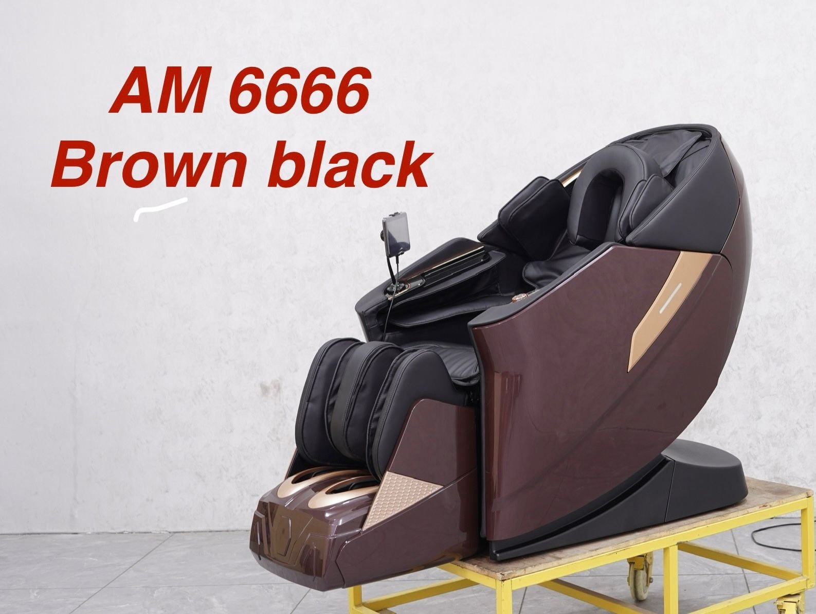 Massage Chair AM-666